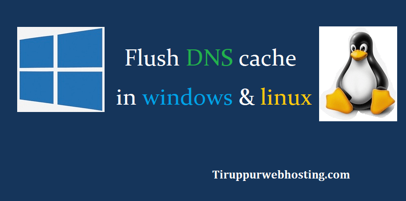 dns cache