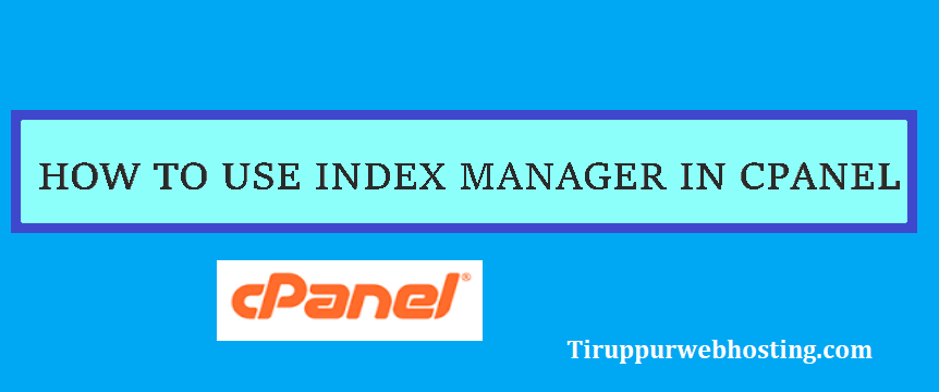 index manager